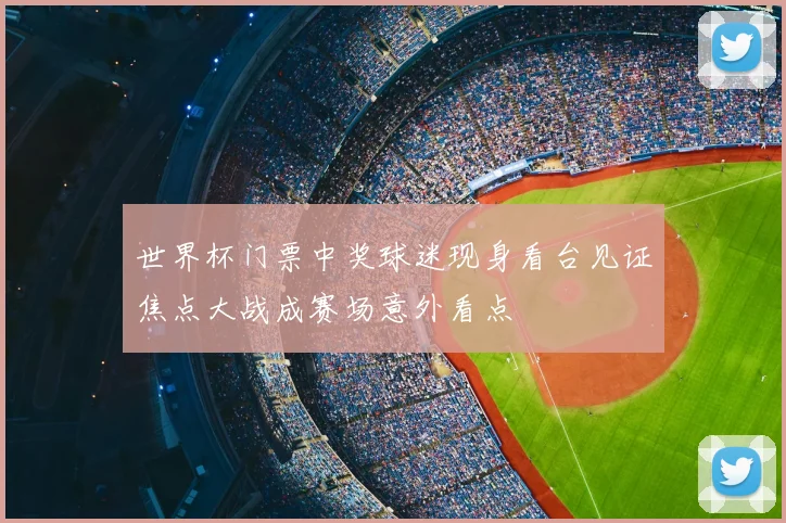 世界杯门票中奖球迷现身看台见证焦点大战成赛场意外看点