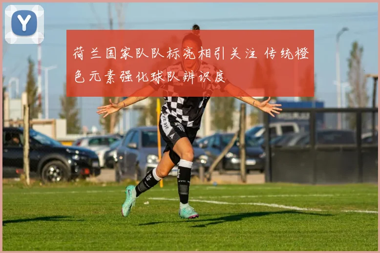 荷兰国家队队标亮相引关注 传统橙色元素强化球队辨识度