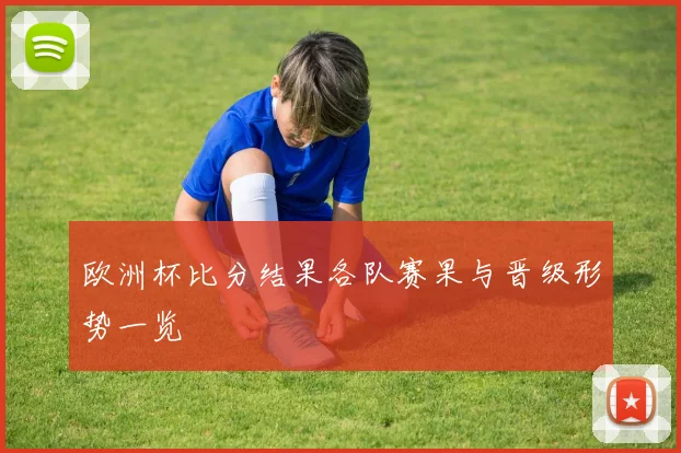 欧洲杯比分结果各队赛果与晋级形势一览
