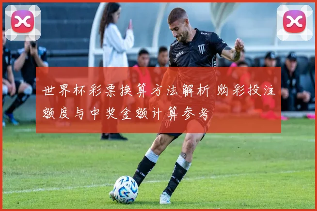 世界杯彩票换算方法解析 购彩投注额度与中奖金额计算参考
